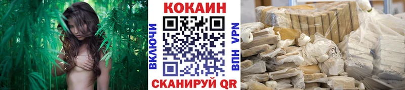 как найти закладки  блэк спрут ссылка  COCAIN Эквадор  Новозыбков 