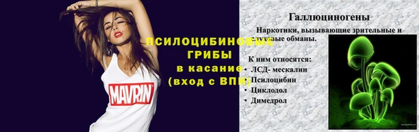 эйфоретик Алзамай