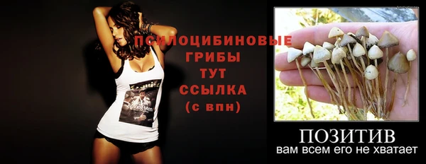 прущие крисы Арсеньев