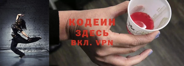 ГАЛЛЮЦИНОГЕННЫЕ ГРИБЫ Аркадак