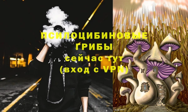 ГАЛЛЮЦИНОГЕННЫЕ ГРИБЫ Аркадак