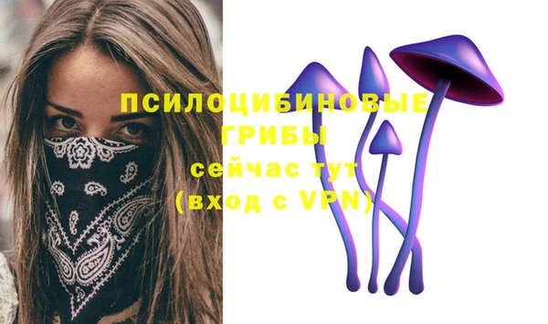 ГАЛЛЮЦИНОГЕННЫЕ ГРИБЫ Аркадак