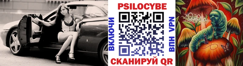 omg рабочий сайт  Новозыбков  Псилоцибиновые грибы прущие грибы 